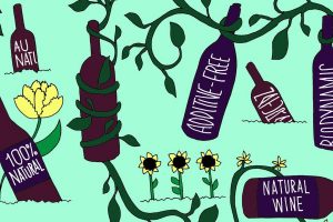 Tra le tendenze che stanno segnando i consumi enoici negli ultimi tempi: i vini naturali