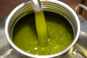 Olio, il Belpaese è già in piena raccolta delle olive, domani le prime stime di produzione di Ismea