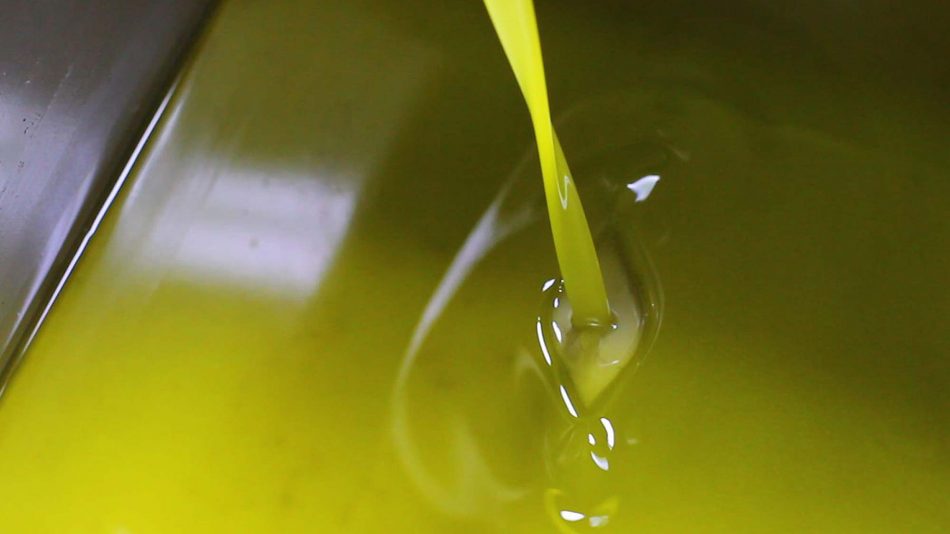 In Italia è “passione olio”: boom di sommelier dell’“oro verde”, e nascono le “oleoteche” 
