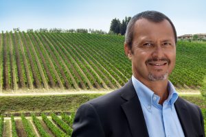Ruffino in Prosecco DOC: “Poderi Ducali Ruffino” has been founded, through the purchase of 144 hecta
