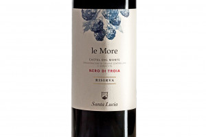 Santa Lucia, Doc Castel del Monte Nero di Troia Le More Riserva 2013