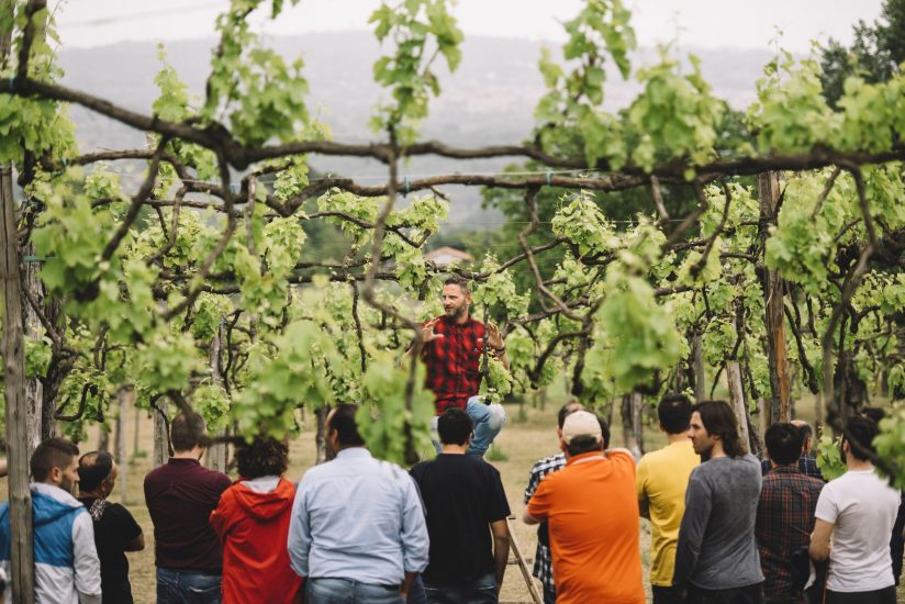 I corsi della Scuola Italiana di Potatura della Vite