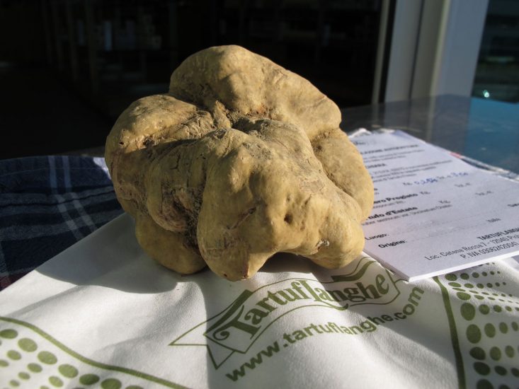 I “gioielli” del Piemonte 