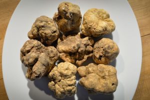 È stagione di tartufo, di Vendemmie in città, Guide e, come sempre, di assaggiare grandi vini È stagione di tartufo, di Vendemmie in città, Guide e, come sempre, di assaggiare grandi vini