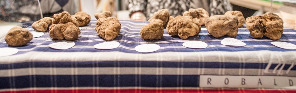 Al via il 6 ottobre la Fiera Internazionale del Tartufo Bianco d’Alba n. 88