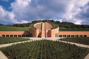 La cantina, architettura di sintesi tra vino e territorio: 40 anni di rivoluzioni