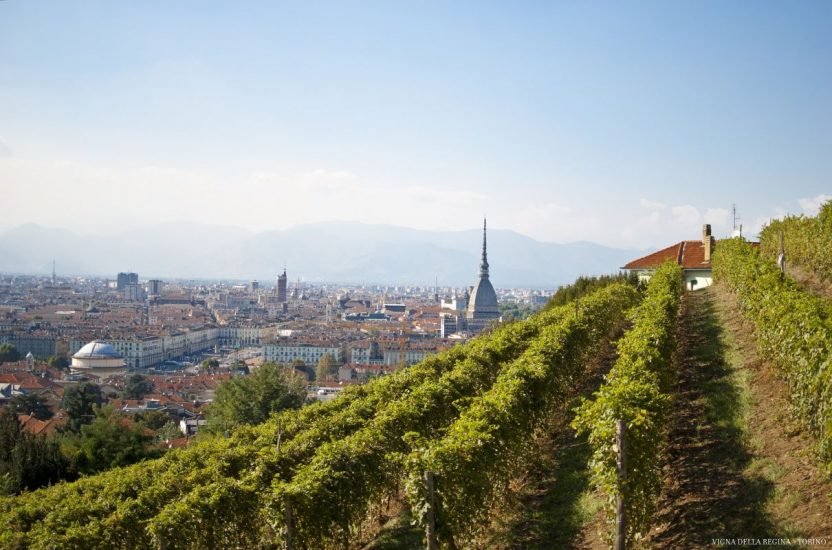 La Vendemmia a Torino - Grapes in Town (19-21 ottobre)