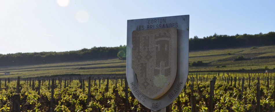 I vigneti di proprietà dell’Hospice de Beaune