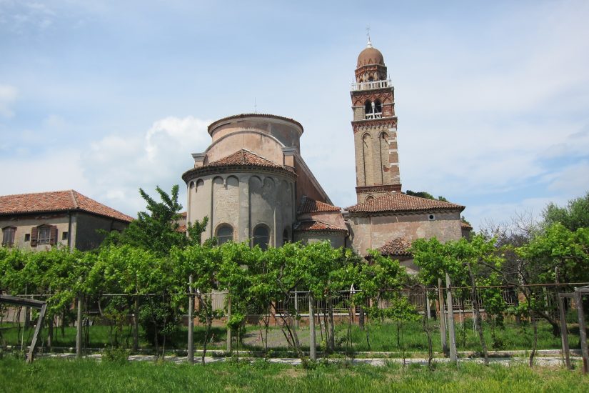 La vigna dentro il cuore di Venezia