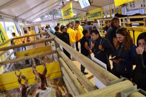 Fattorie vuote, l&rsquo;allarme Coldiretti: scomparsi 1,7 milioni di animali e 3 variet&agrave; di frutta su 4