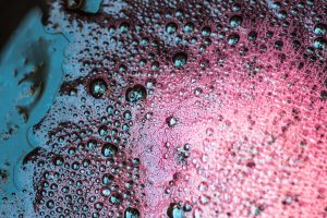 Reds, whites and bubbles: a first balance of the 2019 vintage among the wineries of Italy Reds, whites and bubbles: a first balance of the 2019 vintage among the wineries of Italy