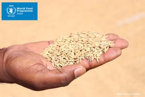 Il “World Food Programme” delle Nazioni Unite candidato al “Premio Nobel per la Pace”