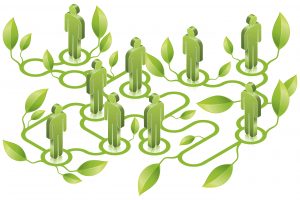 Filiera agroalimentare, outlook positivo: tra il 2018 ed il 2020 cresceranno fatturati e redditivit&agrave;