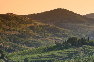 I Quaderni di WineNews - Il Chianti Classico