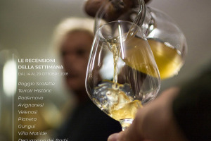 I Vini di WineNews - N. 19