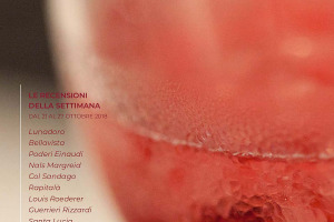 I Vini di WineNews - N. 20