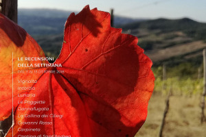 I Vini di WineNews - N. 18