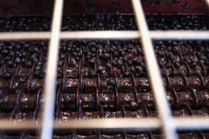 32,5 milioni di ettolitri di vino: tanto è a dimora nelle cantine del Belpaese al 30 settembre 2018