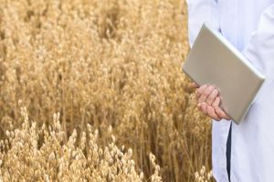 Cia: in Italia 1 azienda agricola su 4 ha un sito internet e appena il 5% punta sulla tecnologia