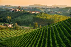 L&rsquo;&ldquo;altro Piemonte&rdquo; alla ribalta: dall&rsquo;Asti alla Barbera, nella &ldquo;Moscato d&rsquo;Asti Experience 2018&rdquo;