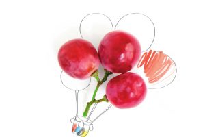 I 10 migliori assaggi e i 609 &ldquo;5 Grappoli&rdquo;: &egrave; l&rsquo;ora di Bibenda, guida dei Sommelier Fis