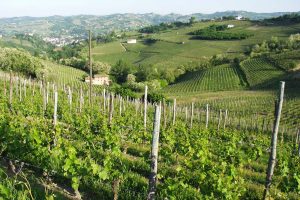 Cina, cresce il peso dell&rsquo;e-commerce, ma il Belpaese non &egrave; nelle posizioni di vertice