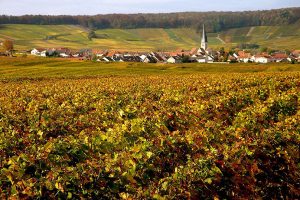 Niente Italia nei “Wine Enthusiast Wine Star Awards” 2018: Champagne batte Franciacorta