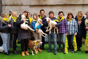 La transumanza Patrimonio Unesco: e le donne pastore occupano la Regione Veneto