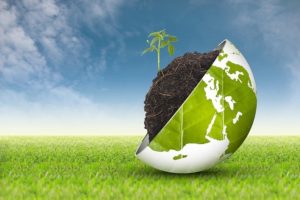 L&rsquo;Italia green promossa in economia circolare, agricoltura biologica ed eco-innovazione