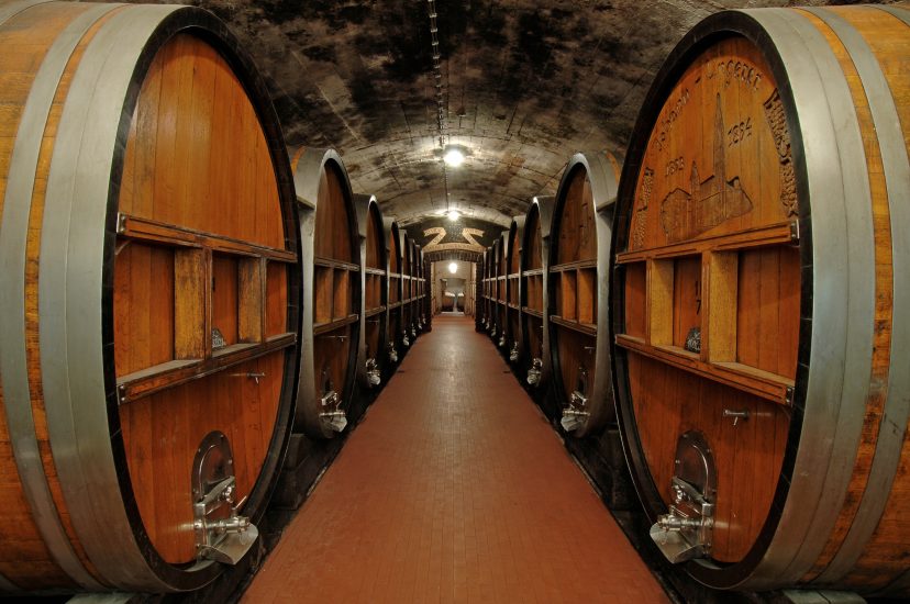  Terlano botti di legno in cantina
