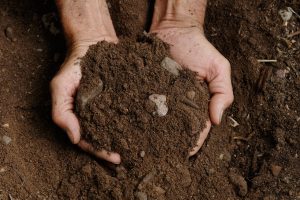 Se la “Dop-Economy” pesa in Italia 15,2 miliardi di euro è grazie alle cooperative alimentari Se la “Dop-Economy” pesa in Italia 15,2 miliardi di euro è grazie alle cooperative alimentari