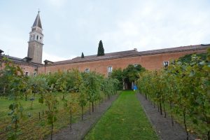 Vino simbolo di unione tra l’uomo e Dio e di condivisione nel Cristianesimo come nell’Ebraismo