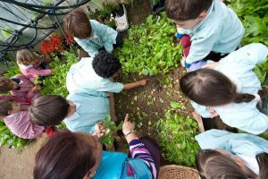 L&rsquo;Orto in Condotta di Slow Food vince il Premio della Settimana Europea per la Riduzione dei Rifiuti