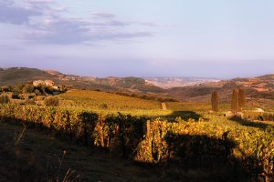 Il Brunello di Montalcino punta la Cina: nasce la guida multilingue &ldquo;Brunello Library&rdquo;