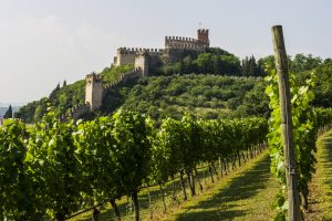 Cantina di Soave &ldquo;Italian Wine Producer of The Year&rdquo; all&rsquo;International Wine & Spirits Competition