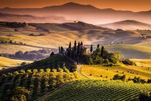 La produzione lorda vendibile del settore vitivinicolo della Toscana vale 530 milioni di euro La produzione lorda vendibile del settore vitivinicolo della Toscana vale 530 milioni di euro
