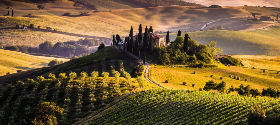 Il 46% dei super ricchi del mondo valuta di trasferirsi in Europa e investire in vino e olio