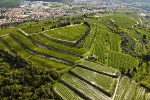 Agriculture and culture, “The rural practice of dry stonewalls” is Unesco Heritage