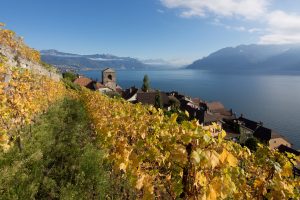 Switzerland, a small large industry, where Italy exports 375 million euros of wine