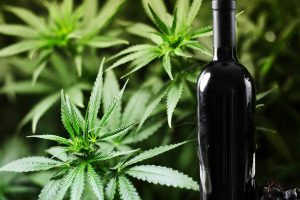 In California, dove si sfiorano vino e cannabis, due mondi ancora molto lontani