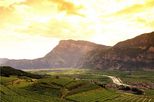 I Quaderni di WineNews - Il TrentoDoc