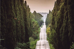 I Quaderni di WineNews - Bolgheri