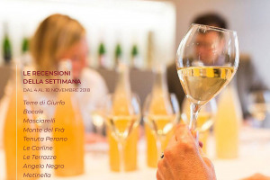 I Vini di WineNews - N. 22