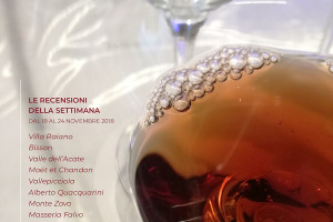 I Vini di WineNews - N. 24