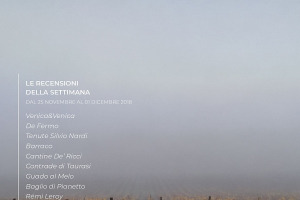 I Vini di WineNews - N. 25