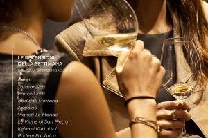 I Vini di WineNews - N. 26