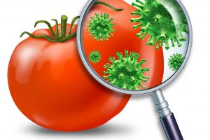 Giornata Mondiale della Salubrit&agrave; Alimentare, nel 2018 in Italia un allarme alimentare al giorno