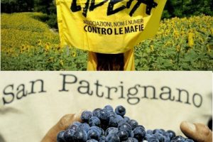 La cooperazione agricola per il sociale nel racconto di Libera Terra e San Patrignano La cooperazione agricola per il sociale nel racconto di Libera Terra e San Patrignano