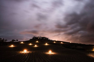 Cecchi accende le “Luci in Vigna”, Masi brinda sulle Tofane e le Cantine sono Aperte per Natale Cecchi accende le “Luci in Vigna”, Masi brinda sulle Tofane e le Cantine sono Aperte per Natale