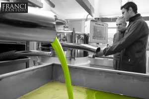 Dai frantoi agli extravergine, ecco i migliori per la The Best 20 stilata da Flos Olei 2019